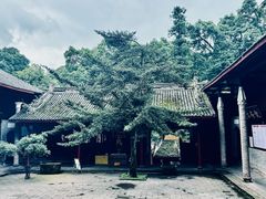 -凤栖山