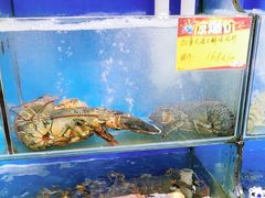 -蚝专家(北滘店)