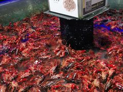 -盒马鲜生(岭南新世界店)