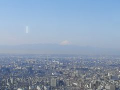 -东京都厅舍