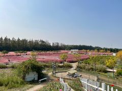 -嘉北郊野公园