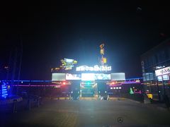 -枫花园汽车电影院(朝阳公园店)