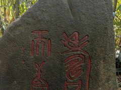 -呀诺达热带雨林