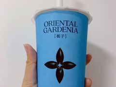 -茉莉奶白(北京新中关店)