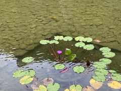 -Club Med地中海俱乐部·桂林度假村