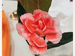 -万宝海鲜舫(劳动公园店)