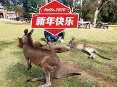 -费瑟代尔野生动物园