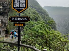 -蝶舞清江·恩施地心谷景区