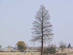 -良渚古城遗址公园