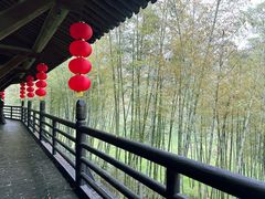 -大唐贡茶院