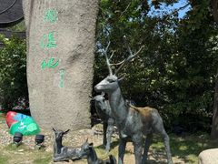 -溱湖国家湿地公园