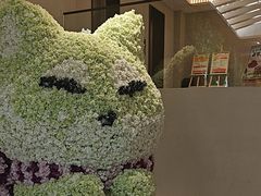 -A+阿加汤宿(大悦城店)