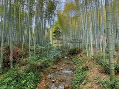 -黄公望隐居地