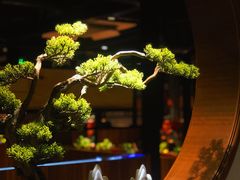 -山之屋炭火烧肉·生啤畅饮(大朗万科中央公园店)