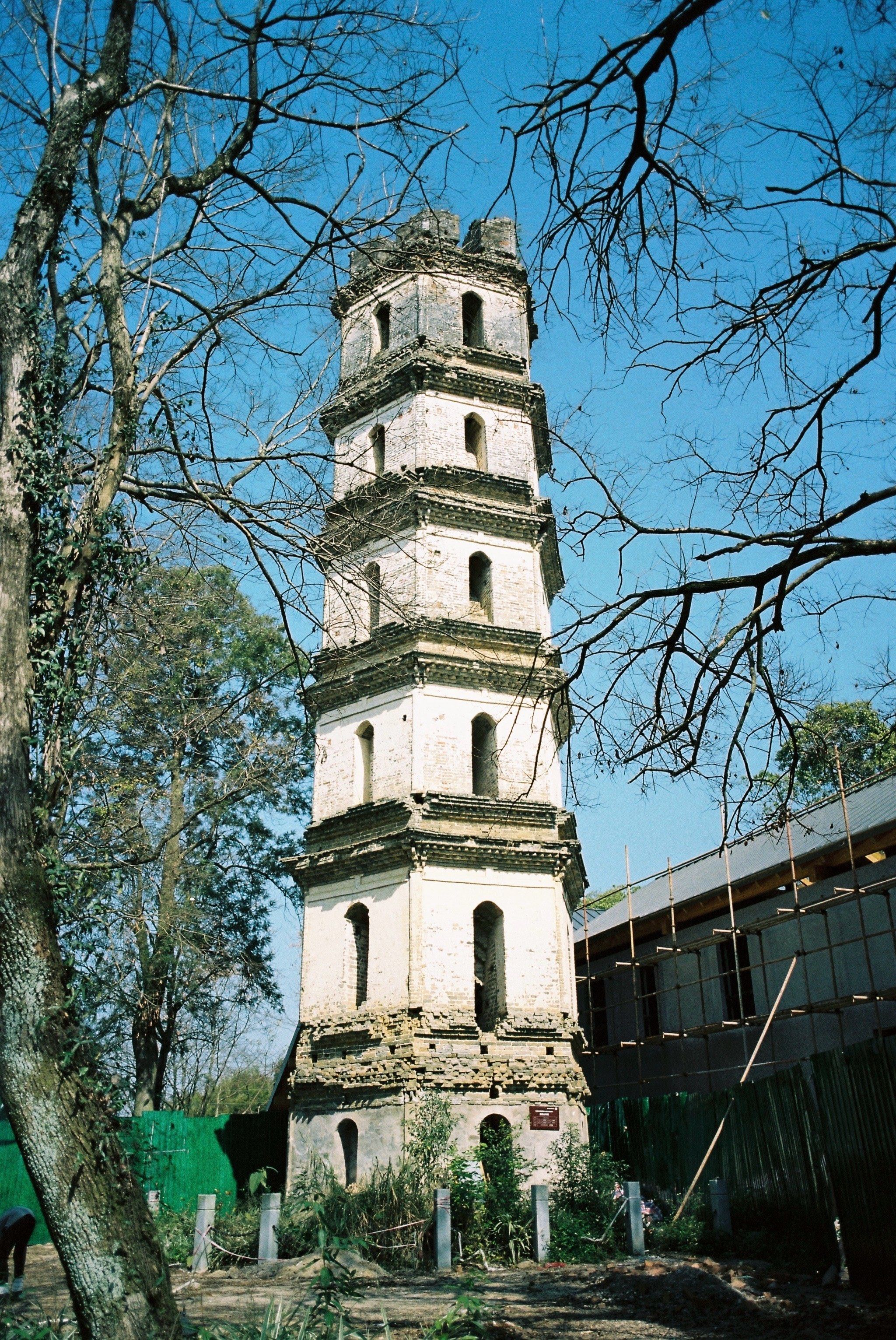 古树戏台,骑楼老街