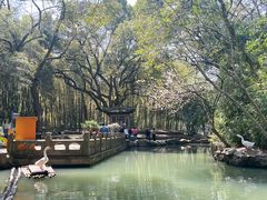 -兰亭风景区
