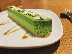 抹茶慕斯-柴务处·柴犬主题狗咖