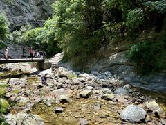 -少华山国家森林公园