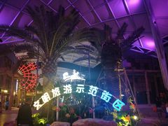 -三亚海昌梦幻海洋不夜城