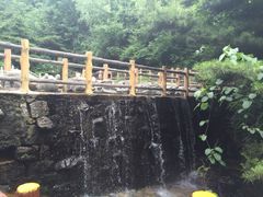 -王顺山国家森林公园
