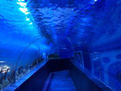 -成都浩海立方海洋公园