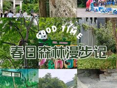 -黔灵山公园
