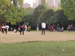 -西苑公园