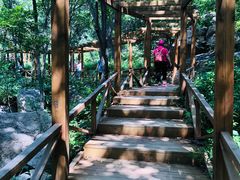 -大岭沟猕猴桃谷风景区