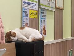 -瑞鹏宠物医院·宠保定点·心脏科·内科(御桥分院)