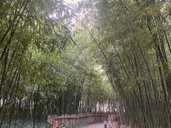 -新虹桥中心花园