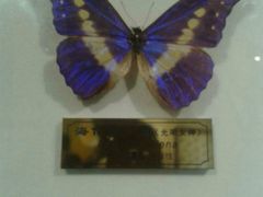 -上海昆虫博物馆