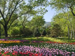 -国家植物园南园