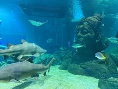 -暹罗海洋世界
