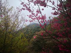 -福清灵石山国家森林公园