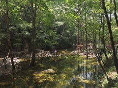 -牛背梁国家森林公园