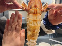 椒盐濑尿虾-吴记富苑(朝阳店)