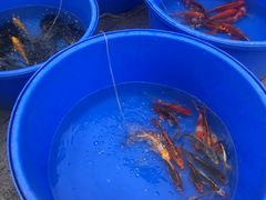 -华声天桥民俗文化园