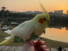 -和信广场(狮山店)