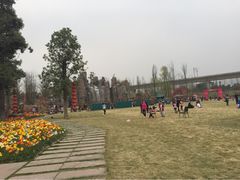 iphone_upload_pic-秀丽东方