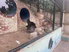 -北京鹿世界主题园