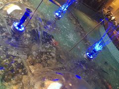 -水晶之星洗浴温泉汗蒸