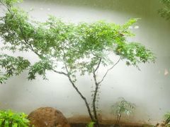 -花迹(富春江东街店)