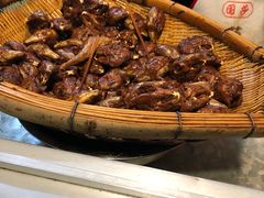 -邓氏兔头