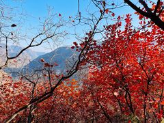 -周口店坡峰岭风景区