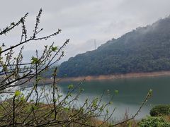 -广州市流溪河国家森林公园