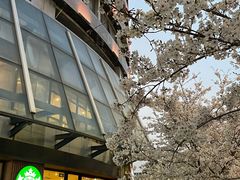 -星巴克臻选(苏州汇豪店)