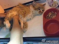 盛京一禾-盛京一禾