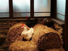 -洞庭土菜馆(天河北总店)