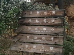 -静之湖湖畔餐厅