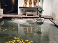 -觀芷隐轩